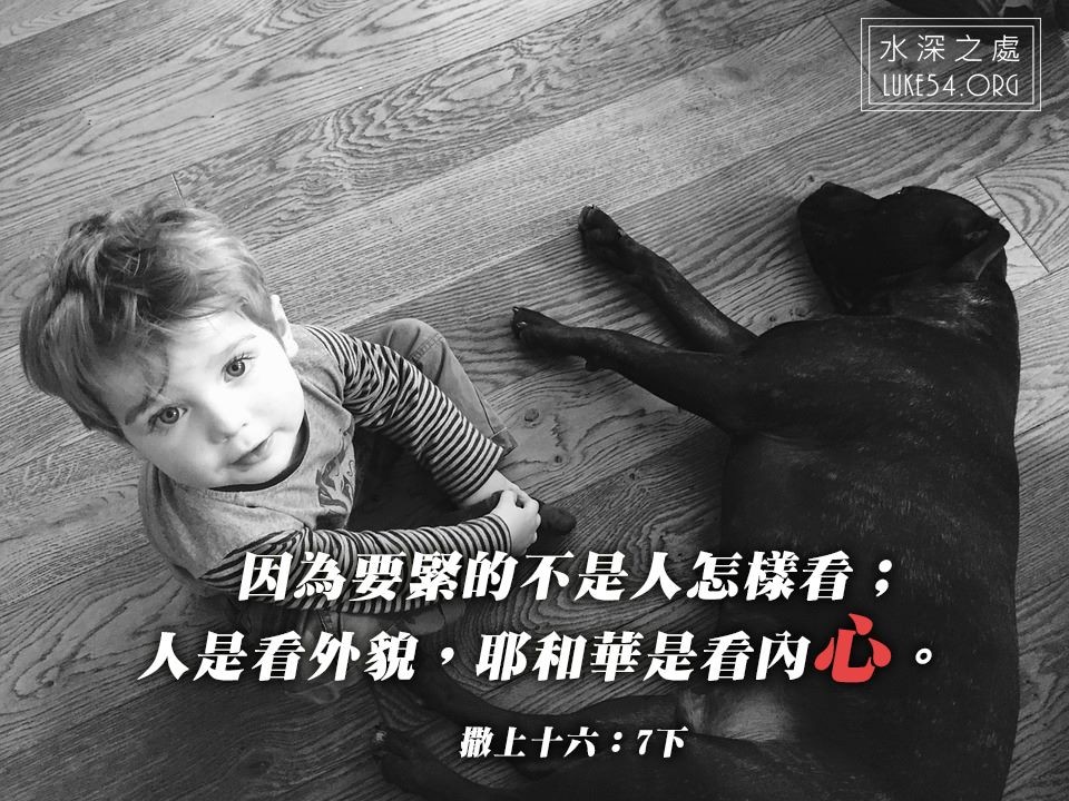 你的眼光正確嗎?