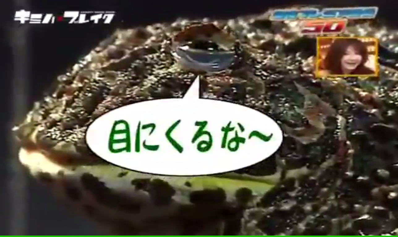 你今天吃什麼？