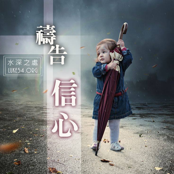 真實的信心