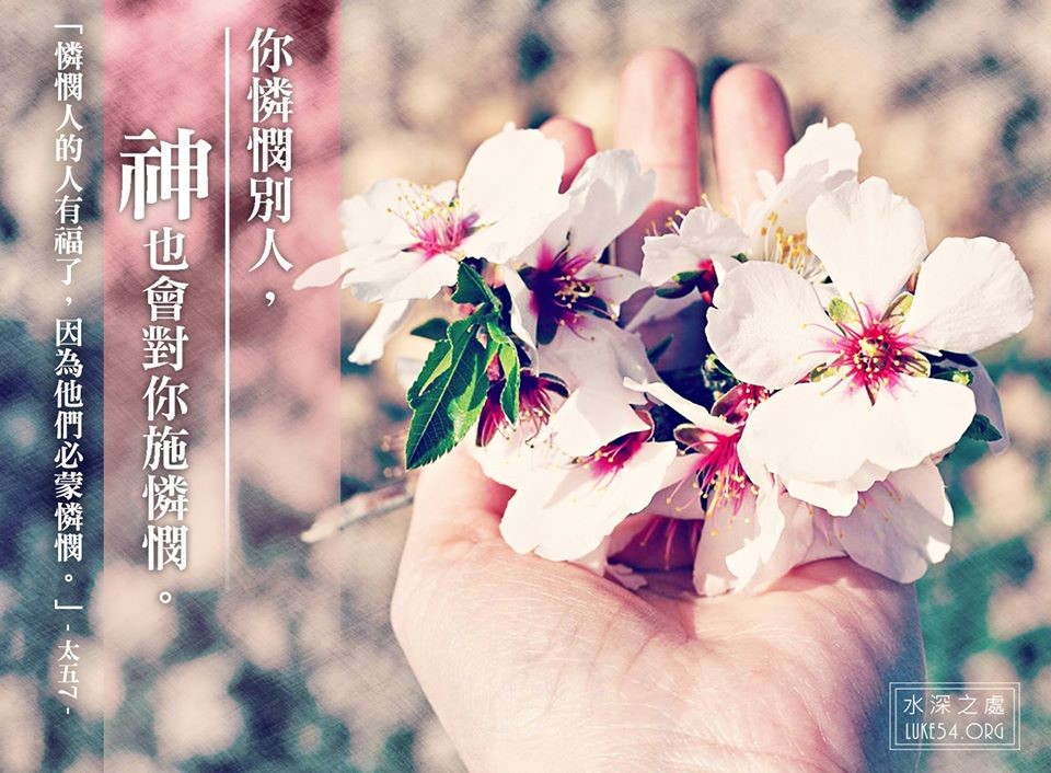 憐憫人的人有福了