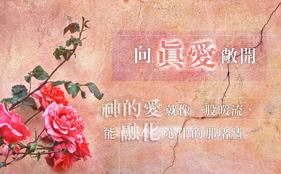 真愛