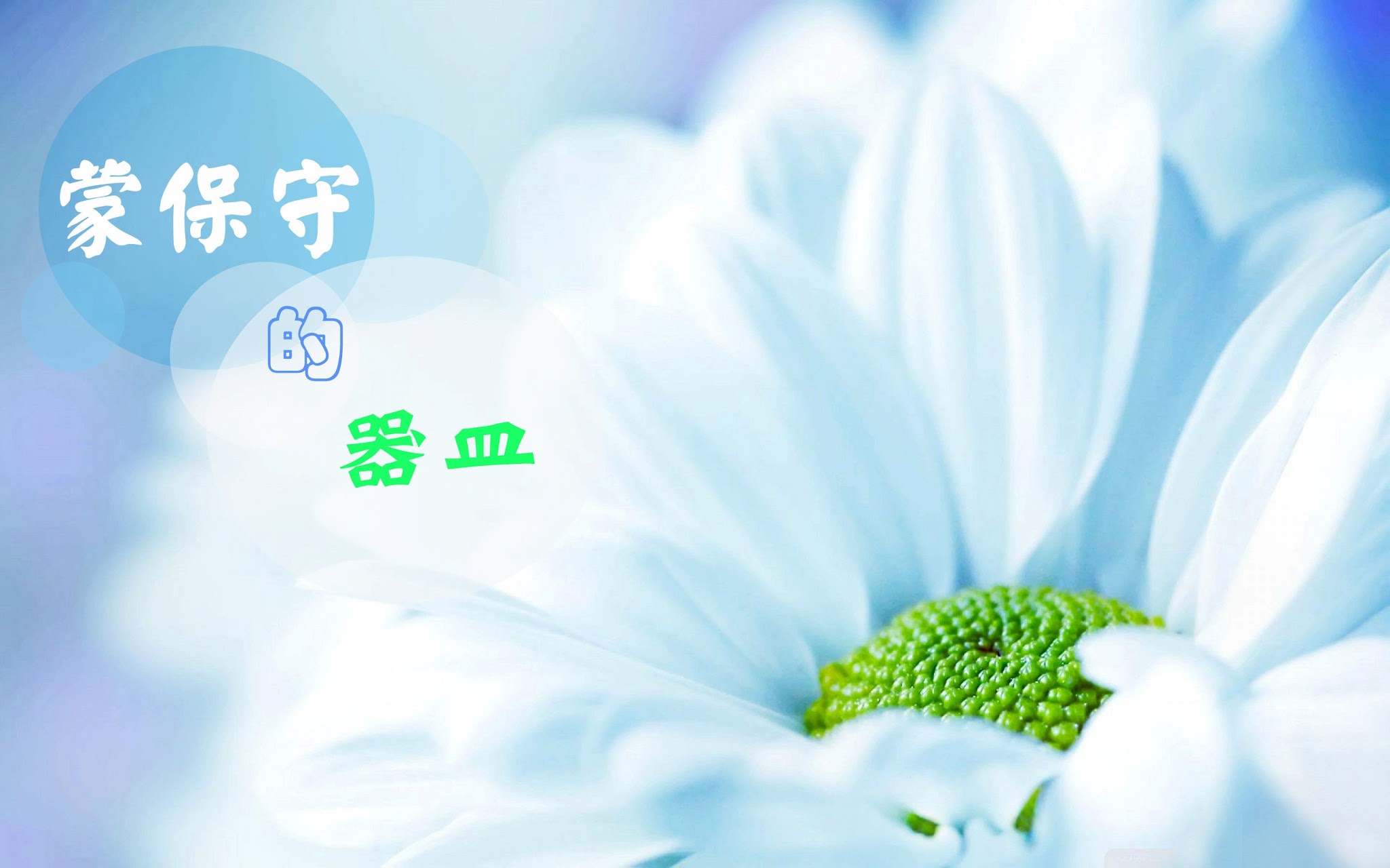 蒙保守的器皿