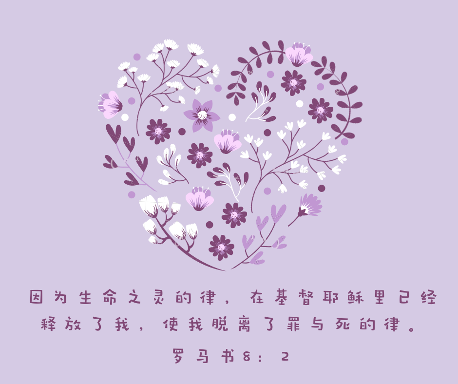 生命之灵的律释放了我