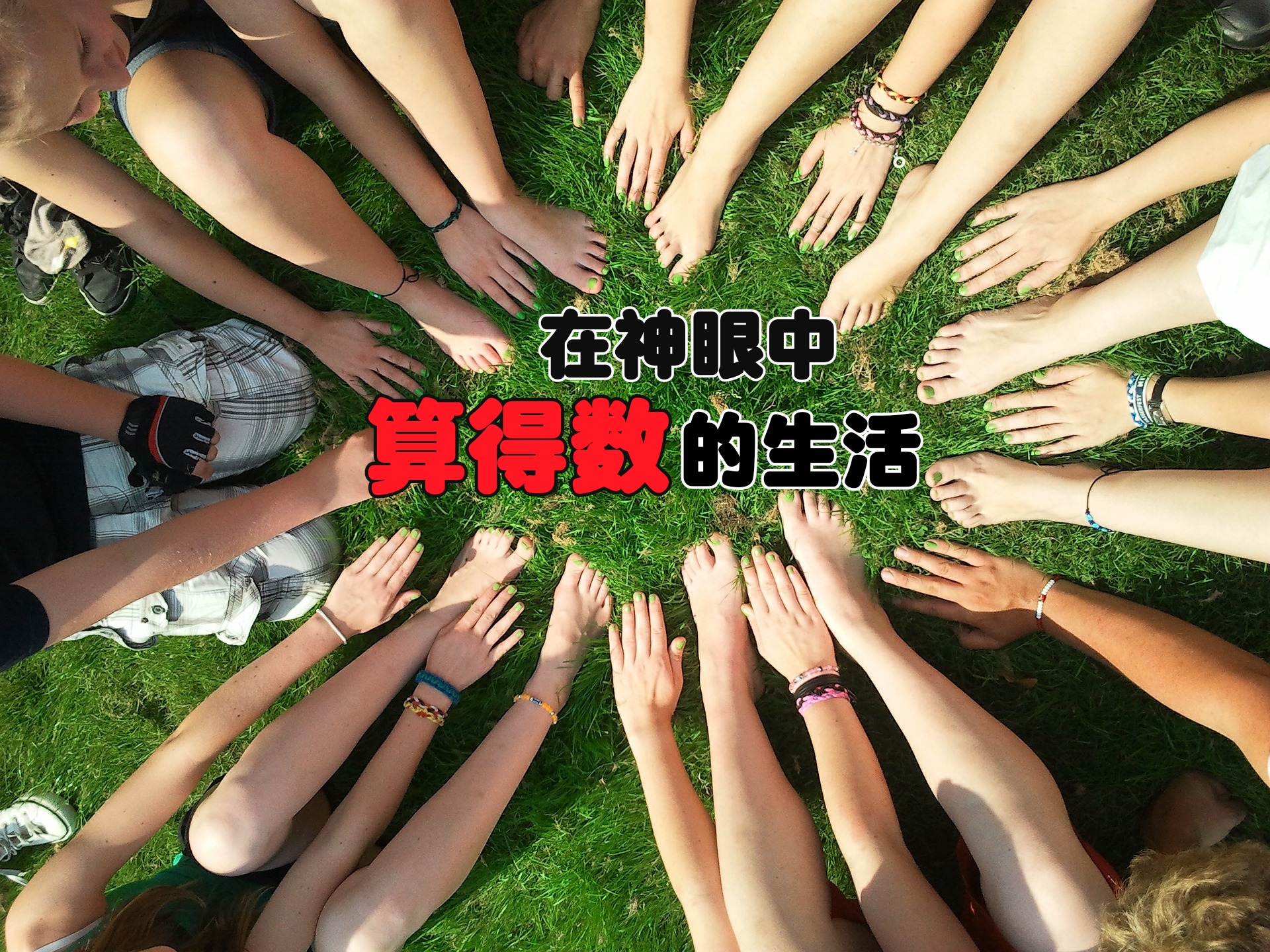 在神眼中算的数的生活