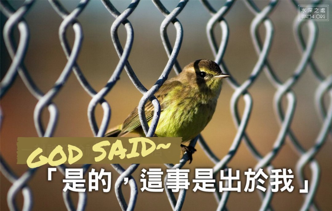 【水深LINE精選】角色互換