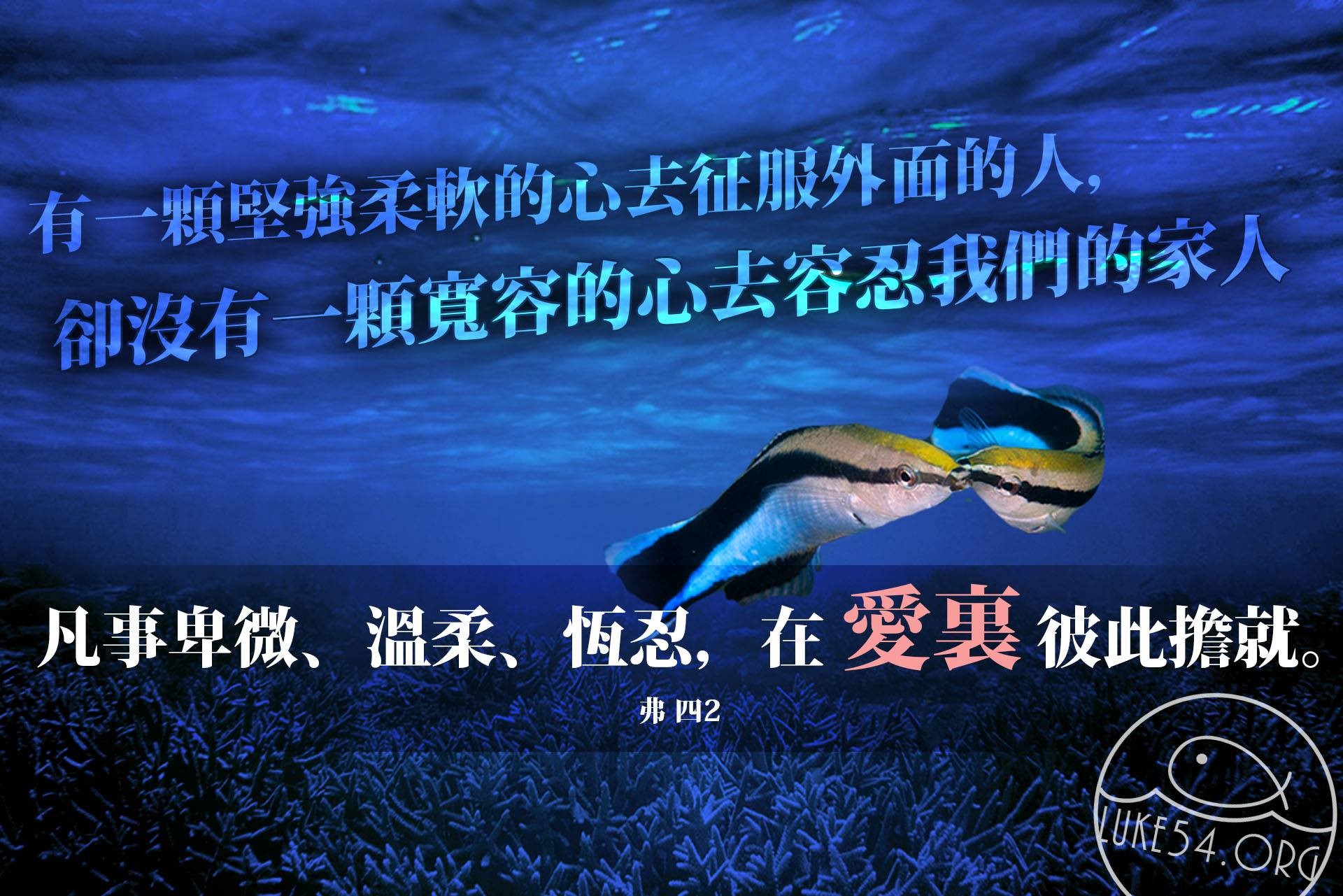 【水深LINE精選】清潔魚的「心」