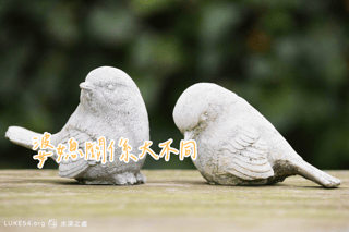 婆媳關係大不同