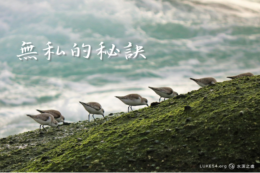 無私的秘訣