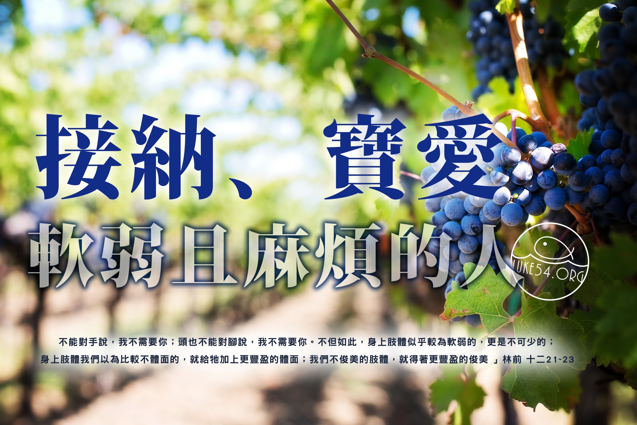 【水深LINE精選】一棵小葡萄騰的故事
