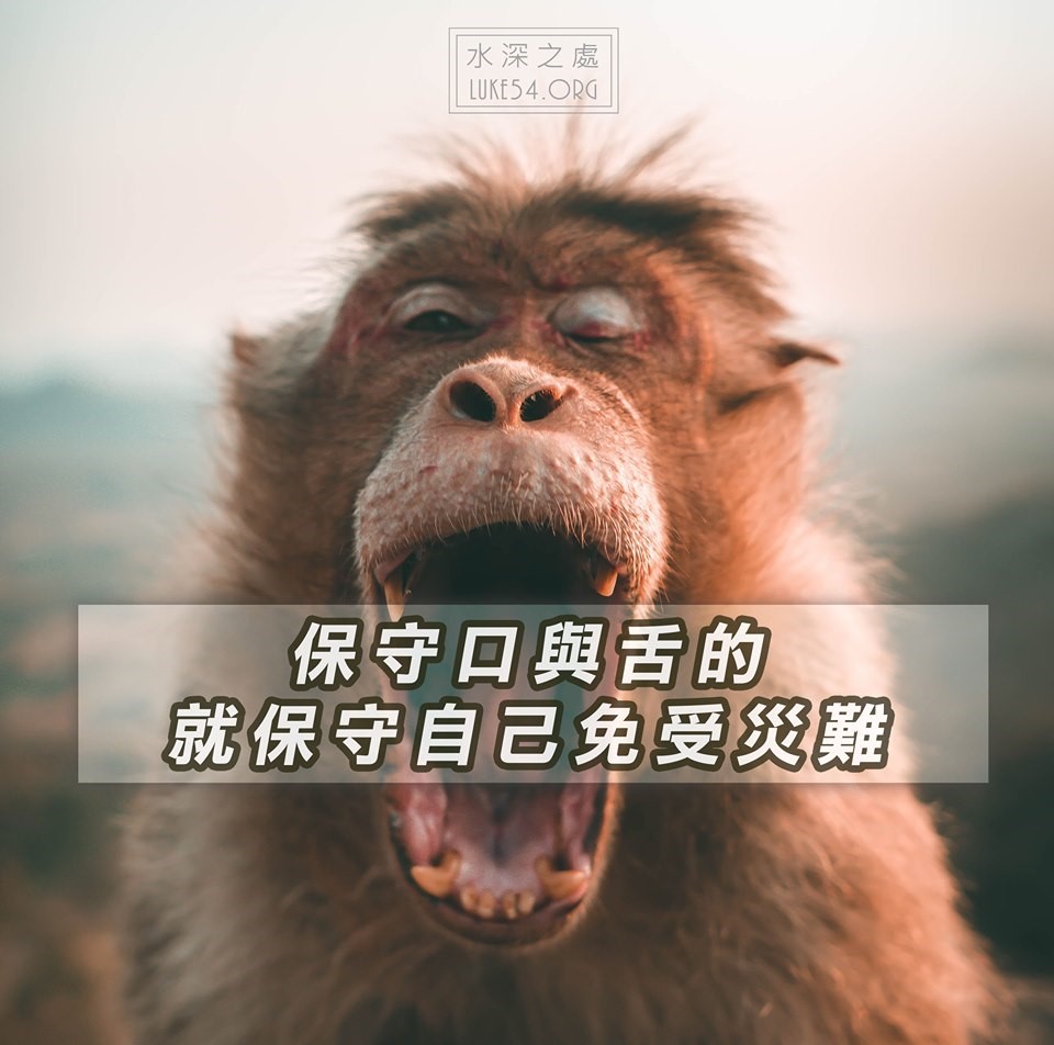 【水深LINE精選】保守自己免受災難