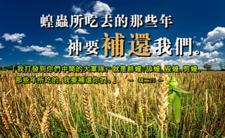 【水深LINE精選】蝗蟲所喫去的那些年，神要補還我們