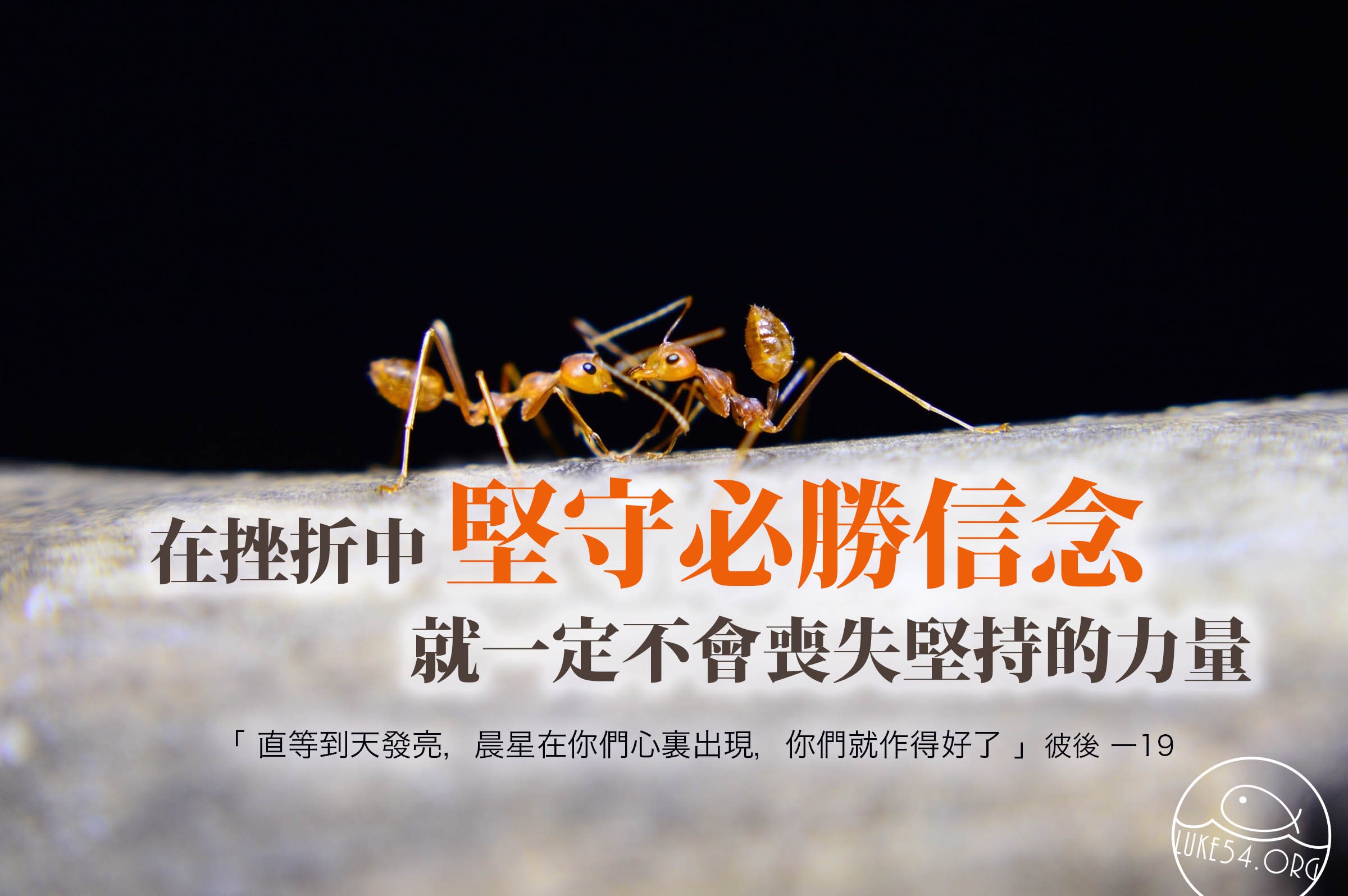 【水深LINE精選】兩隻螞蟻
