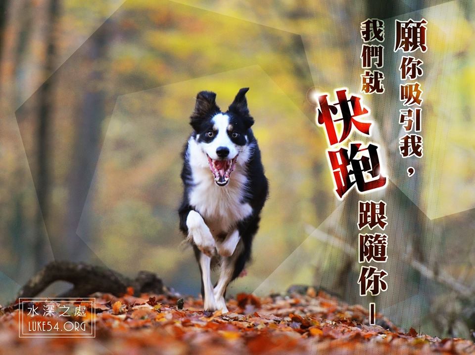 【水深LINE精選】 屬靈路程上的綠燈