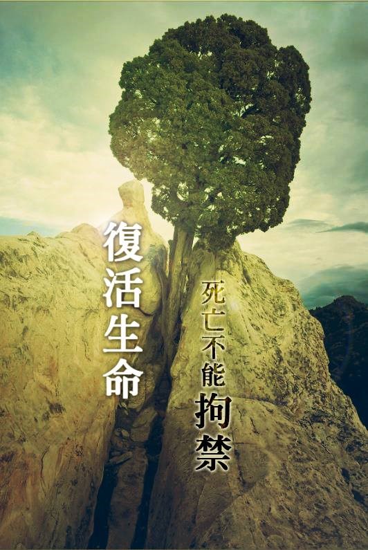 【水深LINE精選】召會是耐死的！
