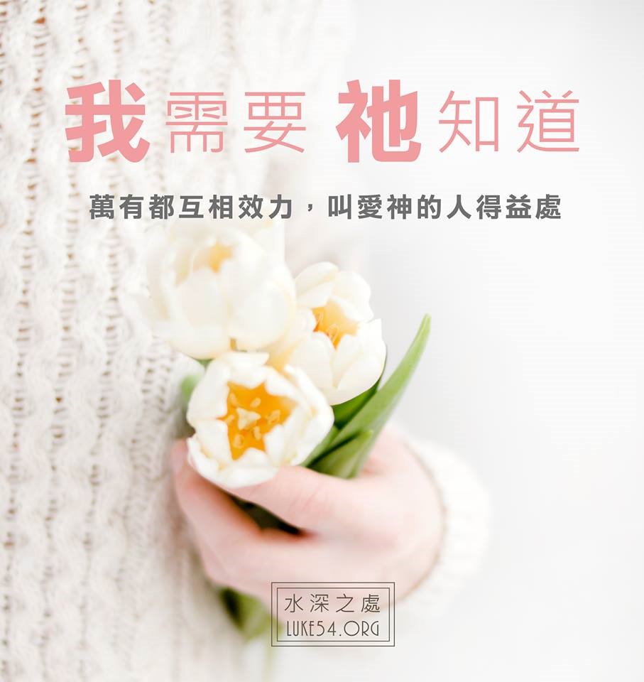 【水深LINE精選】掌權的是神,不是疾病或風暴