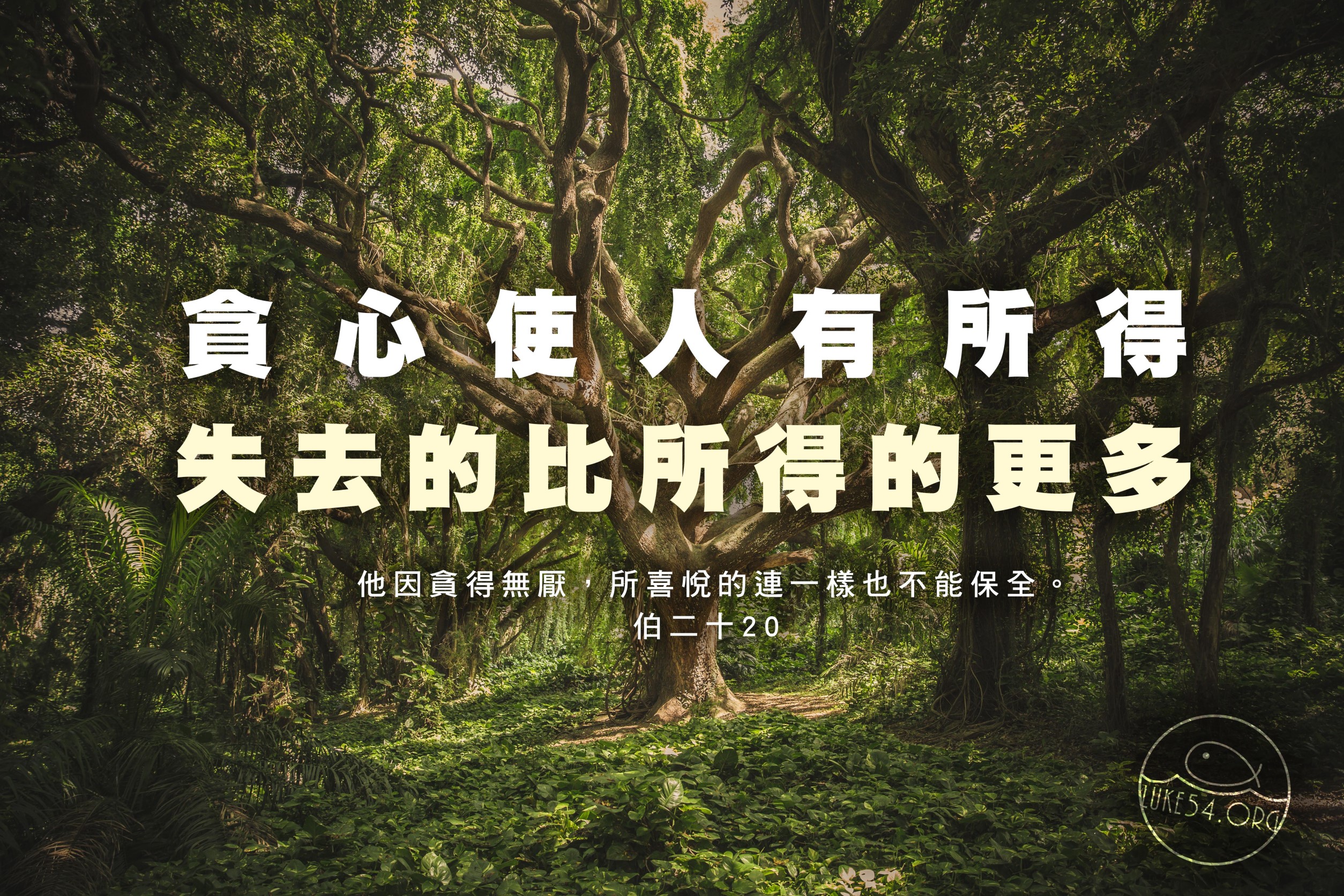 【水深LINE精選】神奇的種子