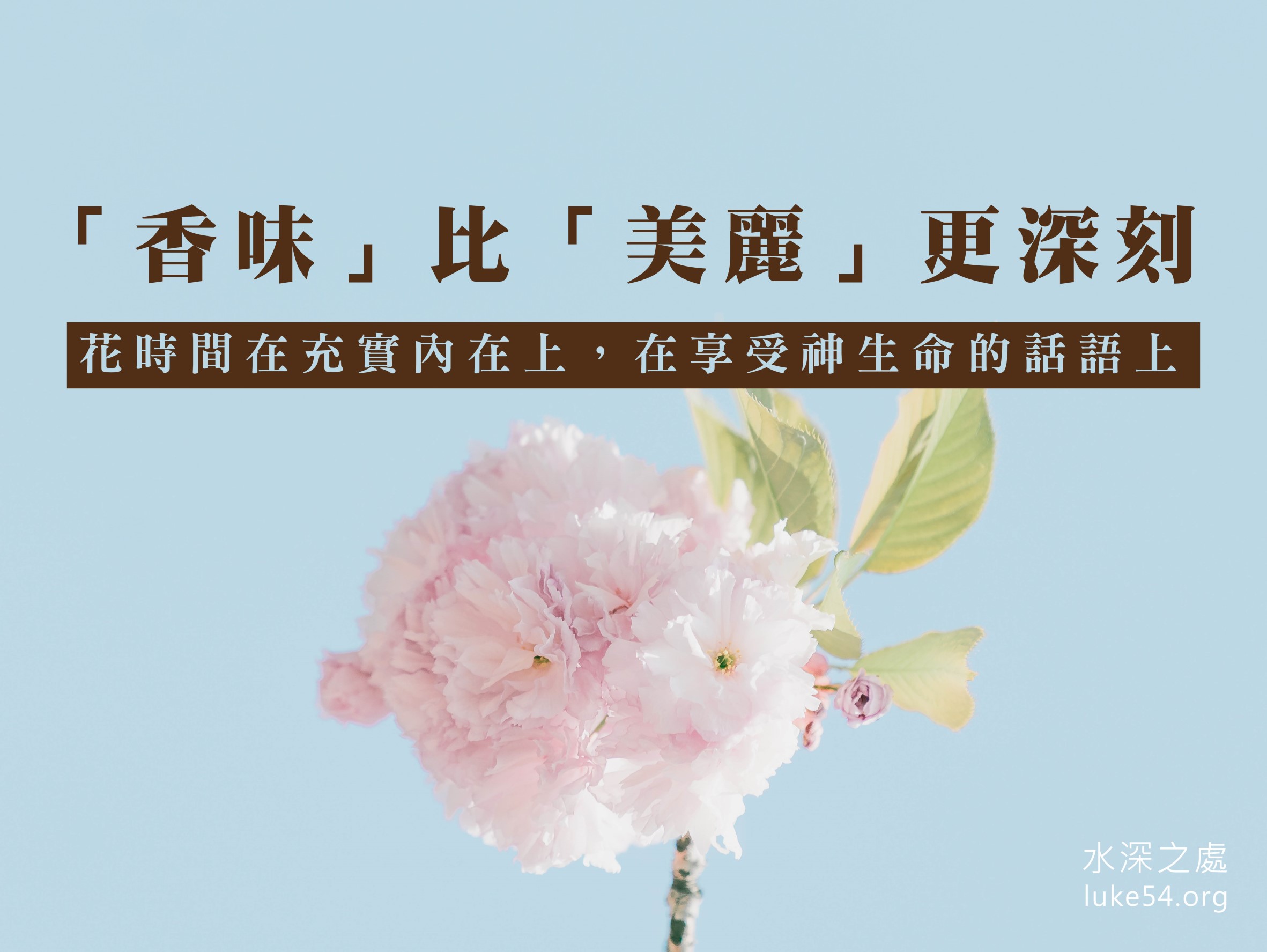 【水深LINE精選】香味比美麗更深刻