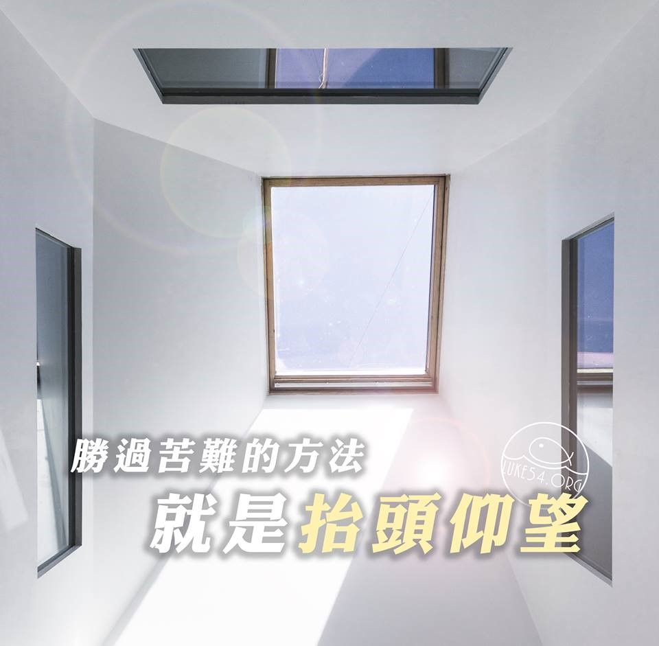 【水深LINE精選】為甚麼方舟的窗開在上面