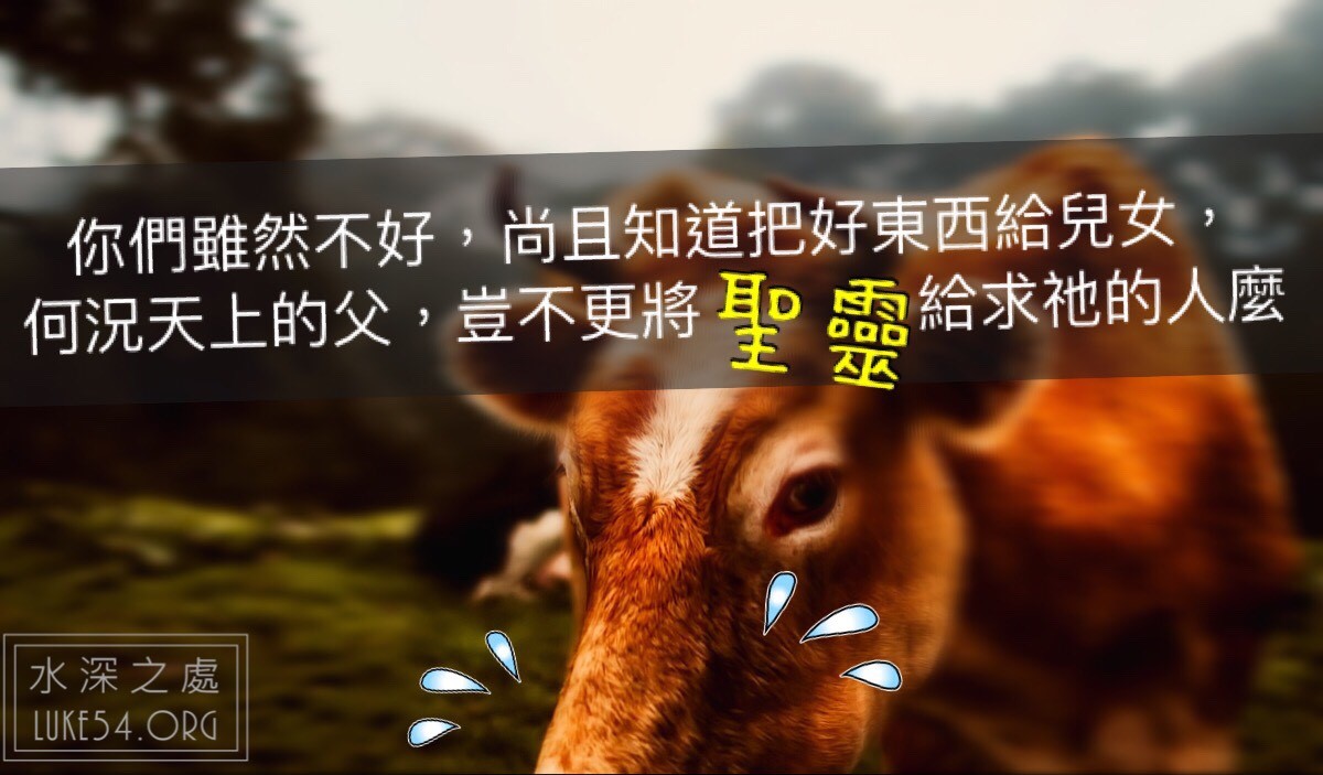 【水深LINE精選】老牛索水喝