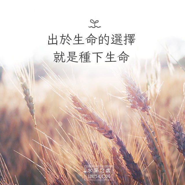 【水深LINE精選】出於生命的選擇,就是種下生命