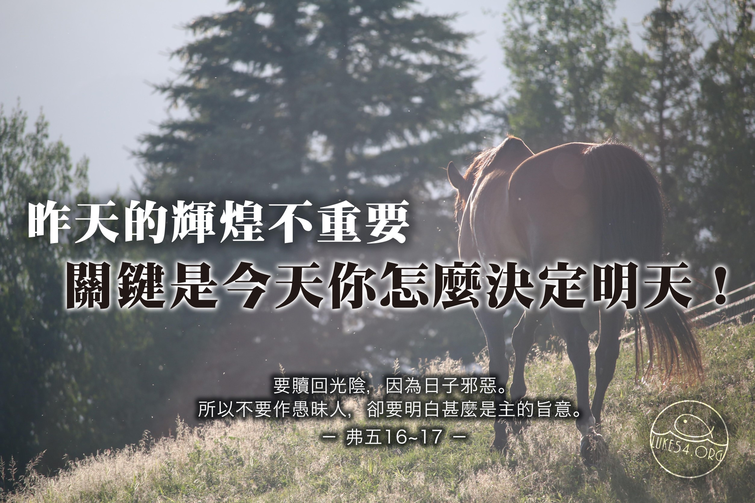 【水深LINE精選】一念千里馬,一念廢馬!