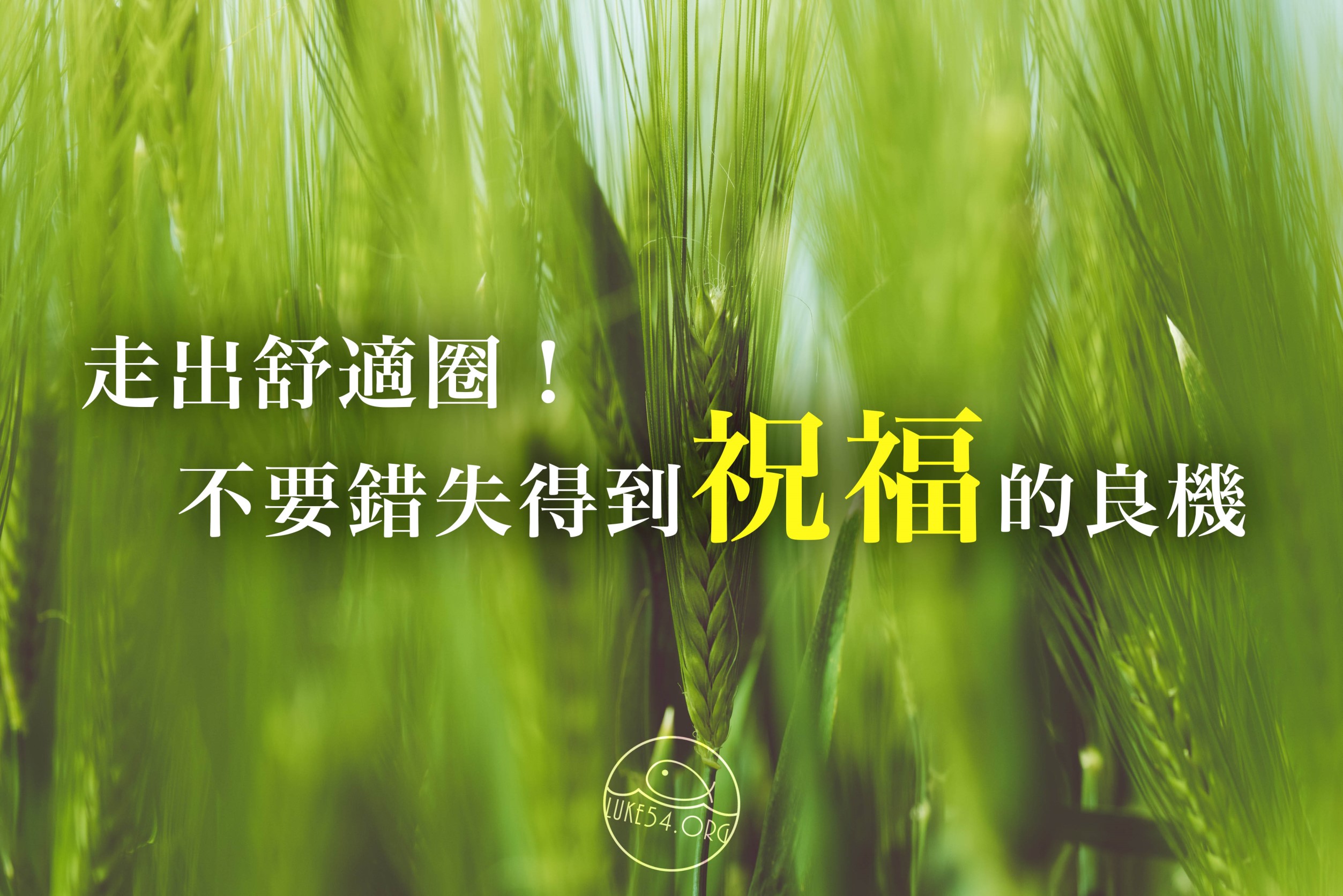 【水深LINE精選】兩粒麥子的小故事:你是哪一粒呢?