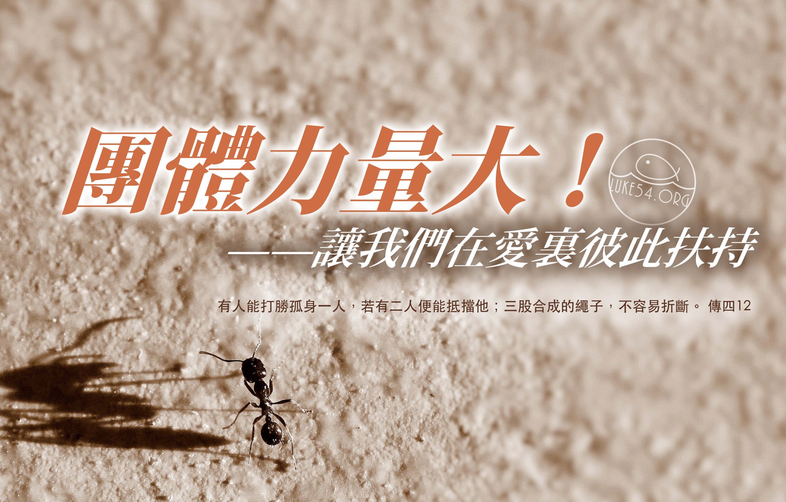 【水深LINE精選】小螞蟻與餅乾渣