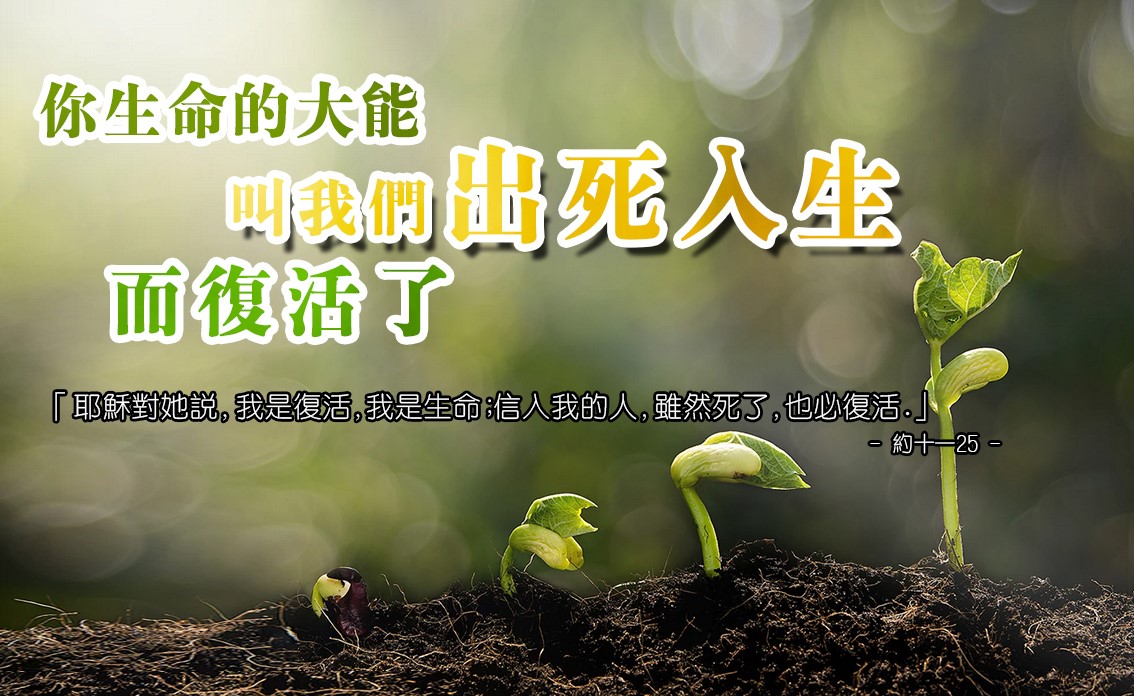 【水深LINE精選】主耶穌使我出死入生
