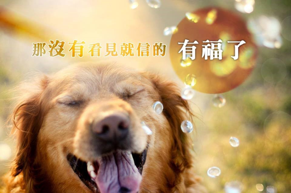 【水深LINE精選】那沒有看見就信的有福了