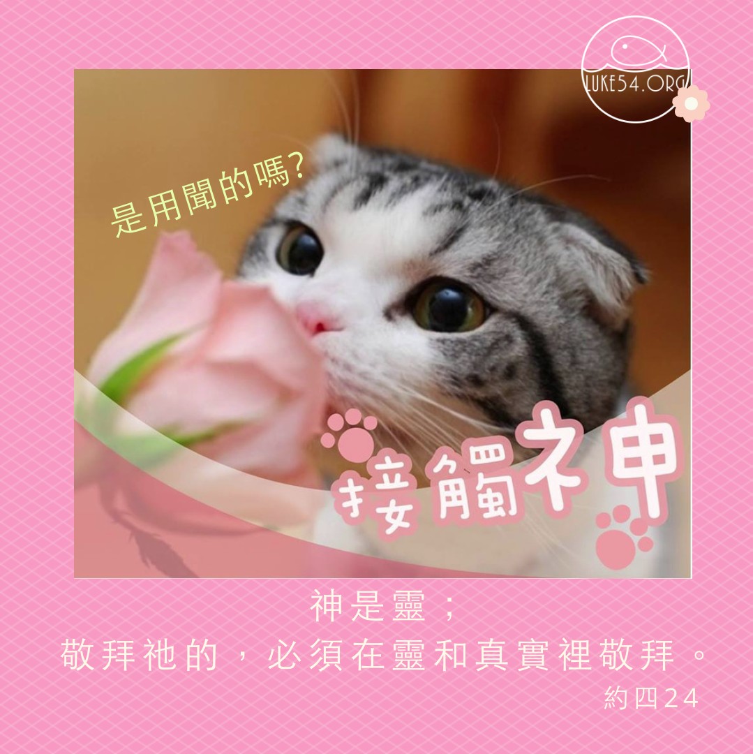 【水深LINE精選】你找不到神嗎?