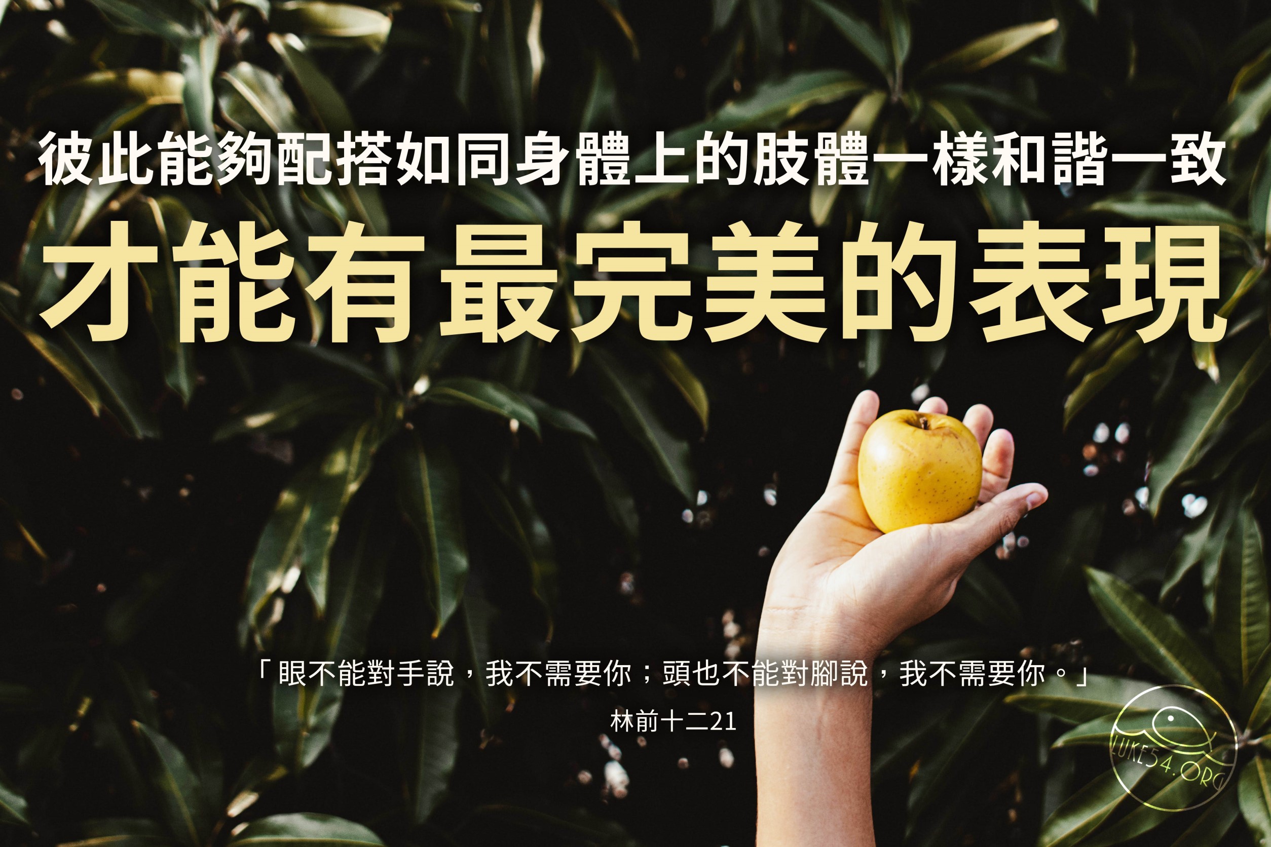 【水深LINE精選】如何人採到比別人更多的果子