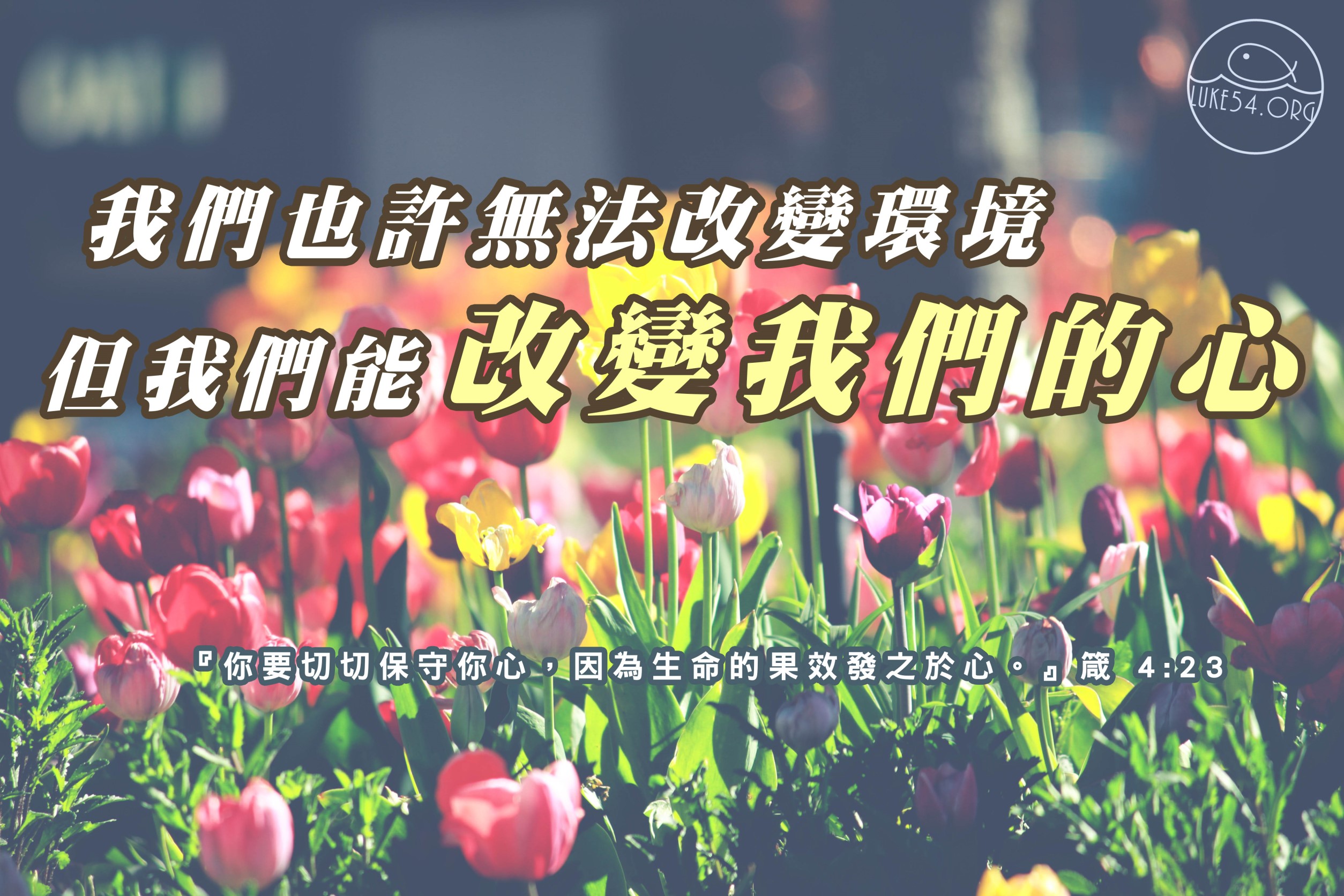 水深LINE精選
