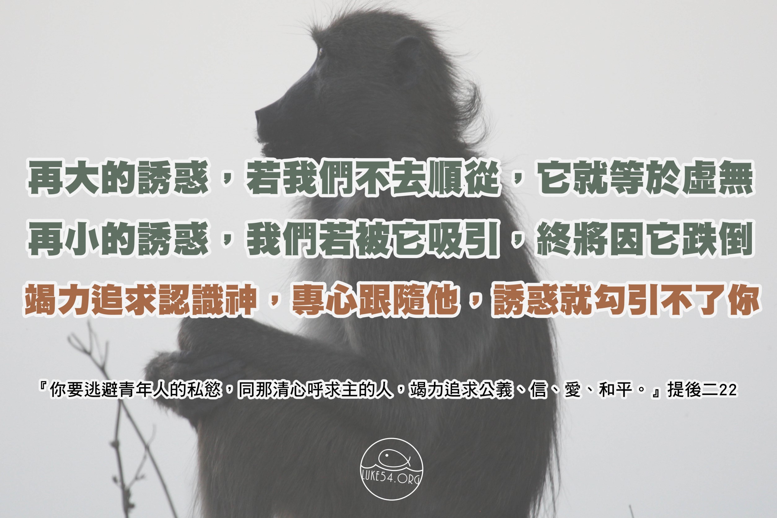 【水深LINE精選】木盒子裡的水果