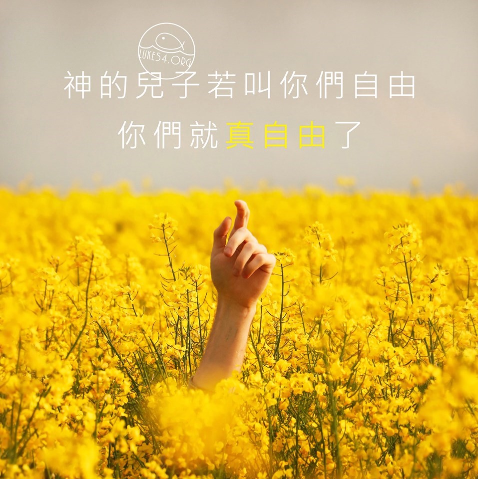 【水深LINE精選】真自由