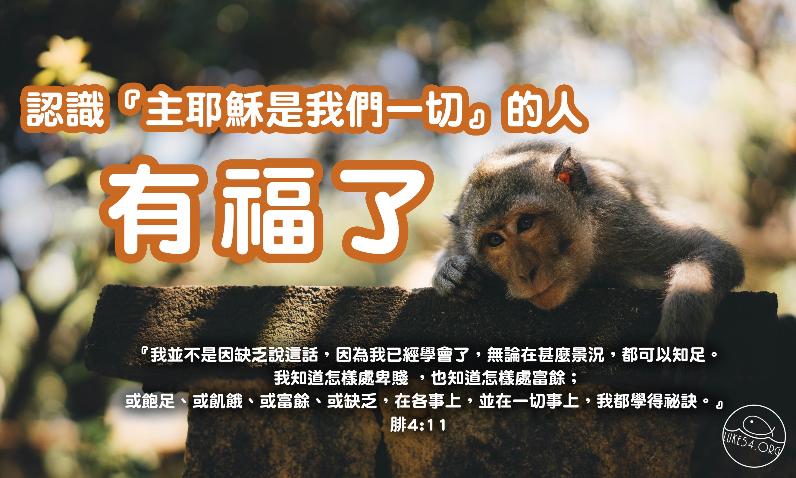 【水深LINE精選】 貪心的猴子