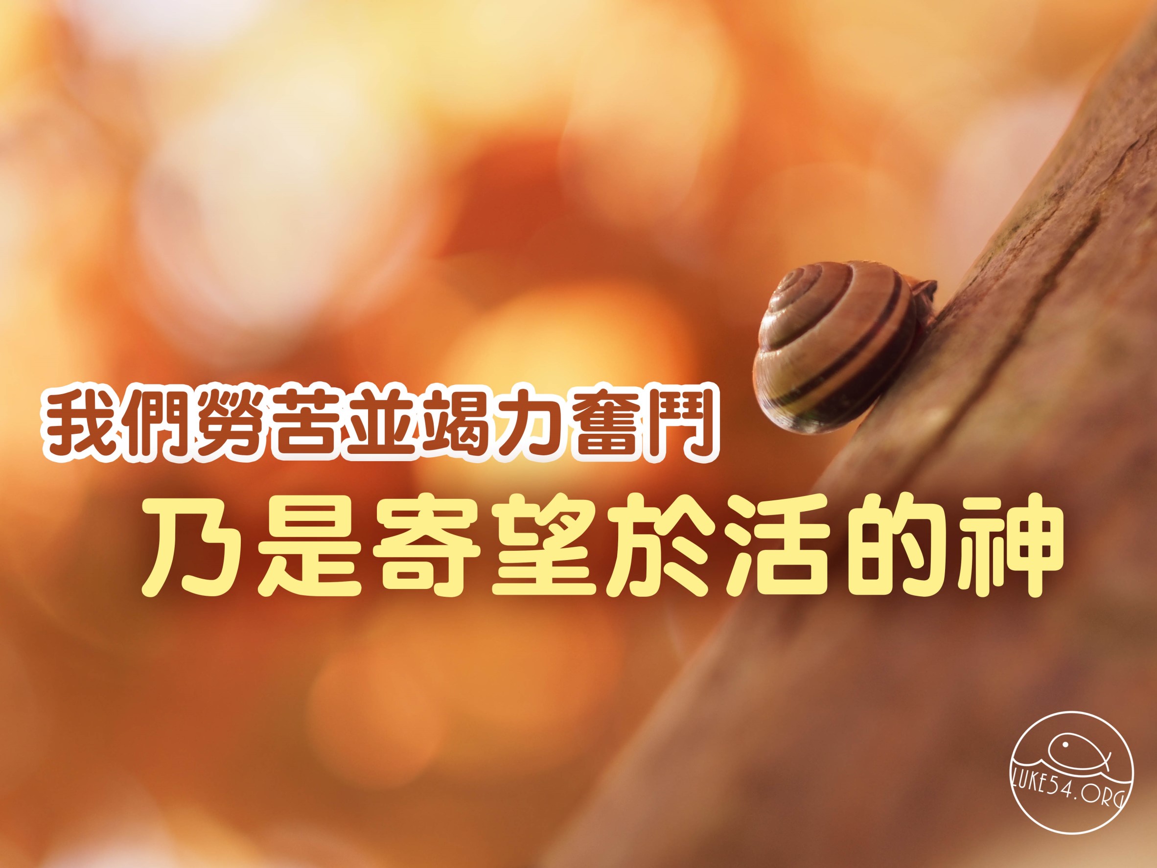 【水深LINE精選】背著殼的蝸牛