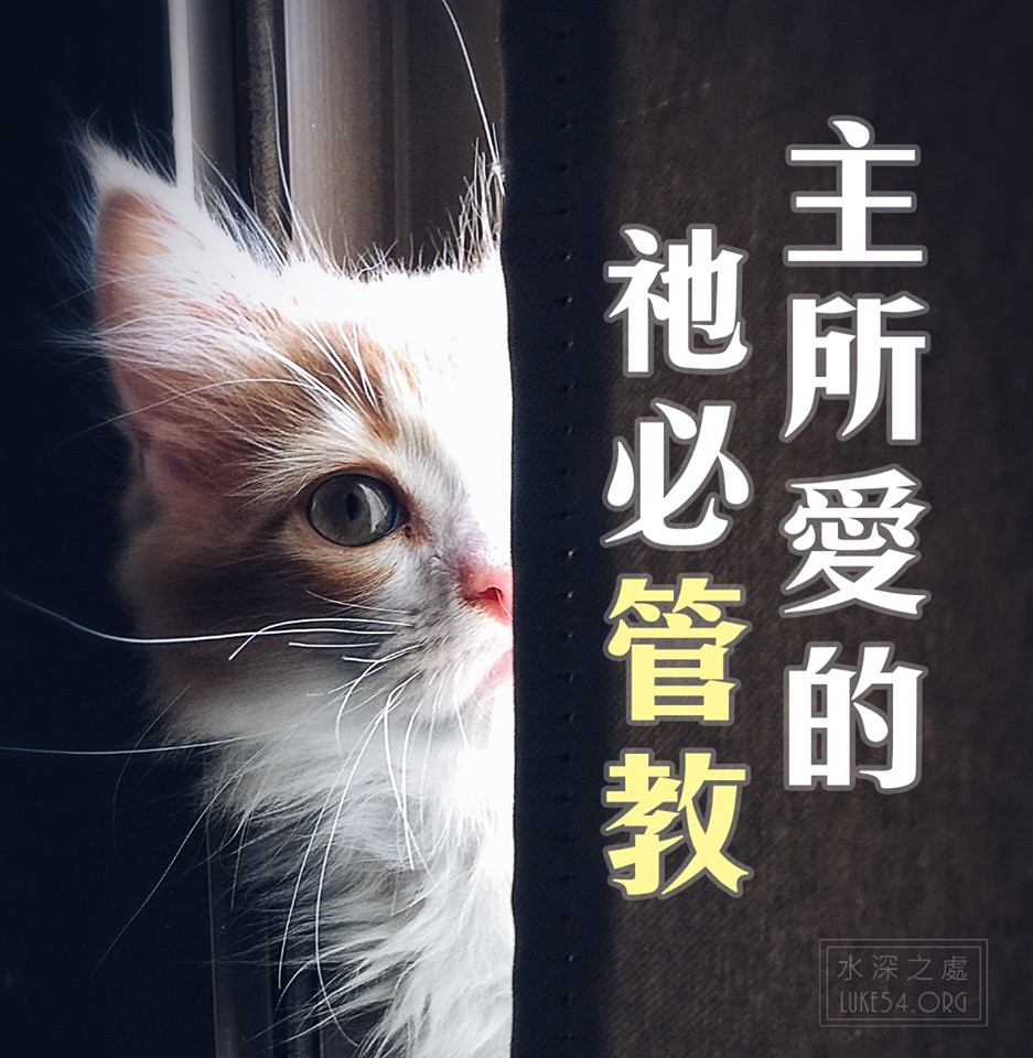 【水深LINE精選】主所愛的,祂必管教