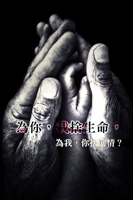 【水深LINE精選】 基督的愛使我別無選擇