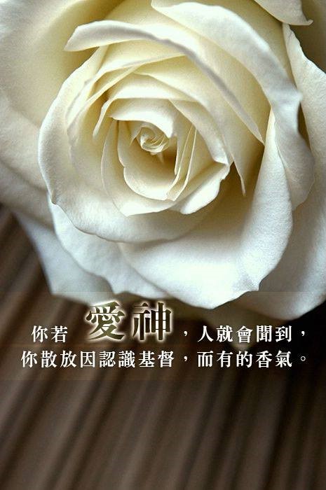 【水深LINE精選】基督的俘虜