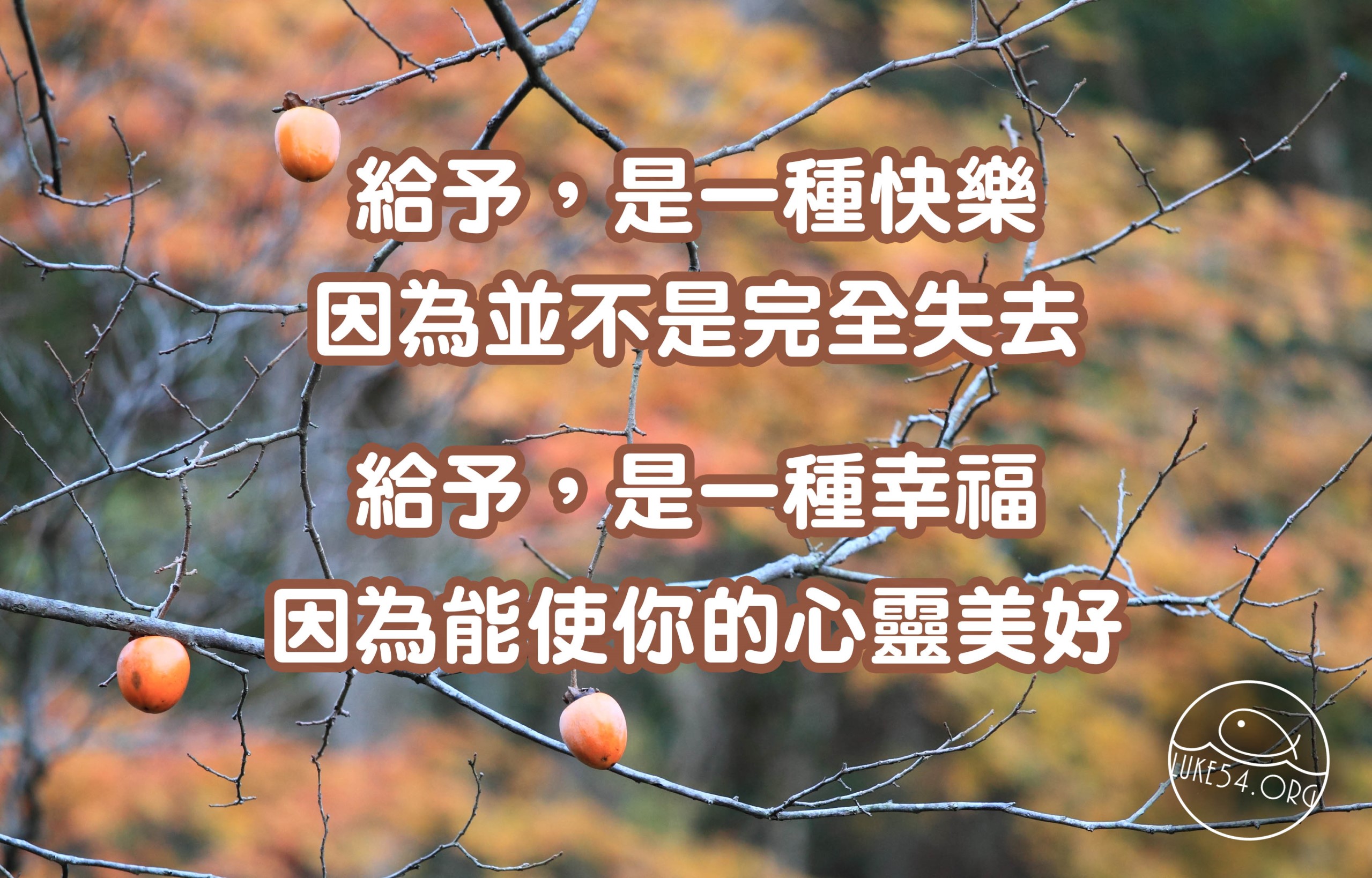【水深LINE精選】留幾枚柿子在樹上吧!