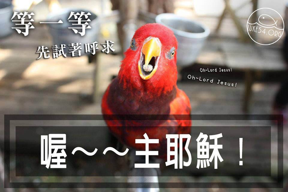 【水深LINE精選】海水倒在蜆殼裡