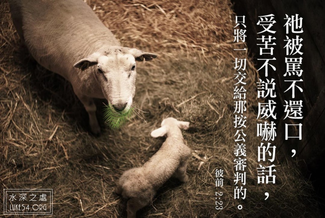 【水深LINE精選】閉嘴