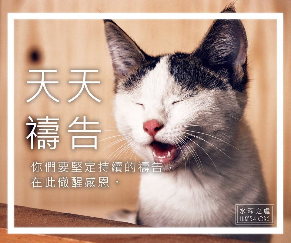 【水深LINE精選】天天禱告