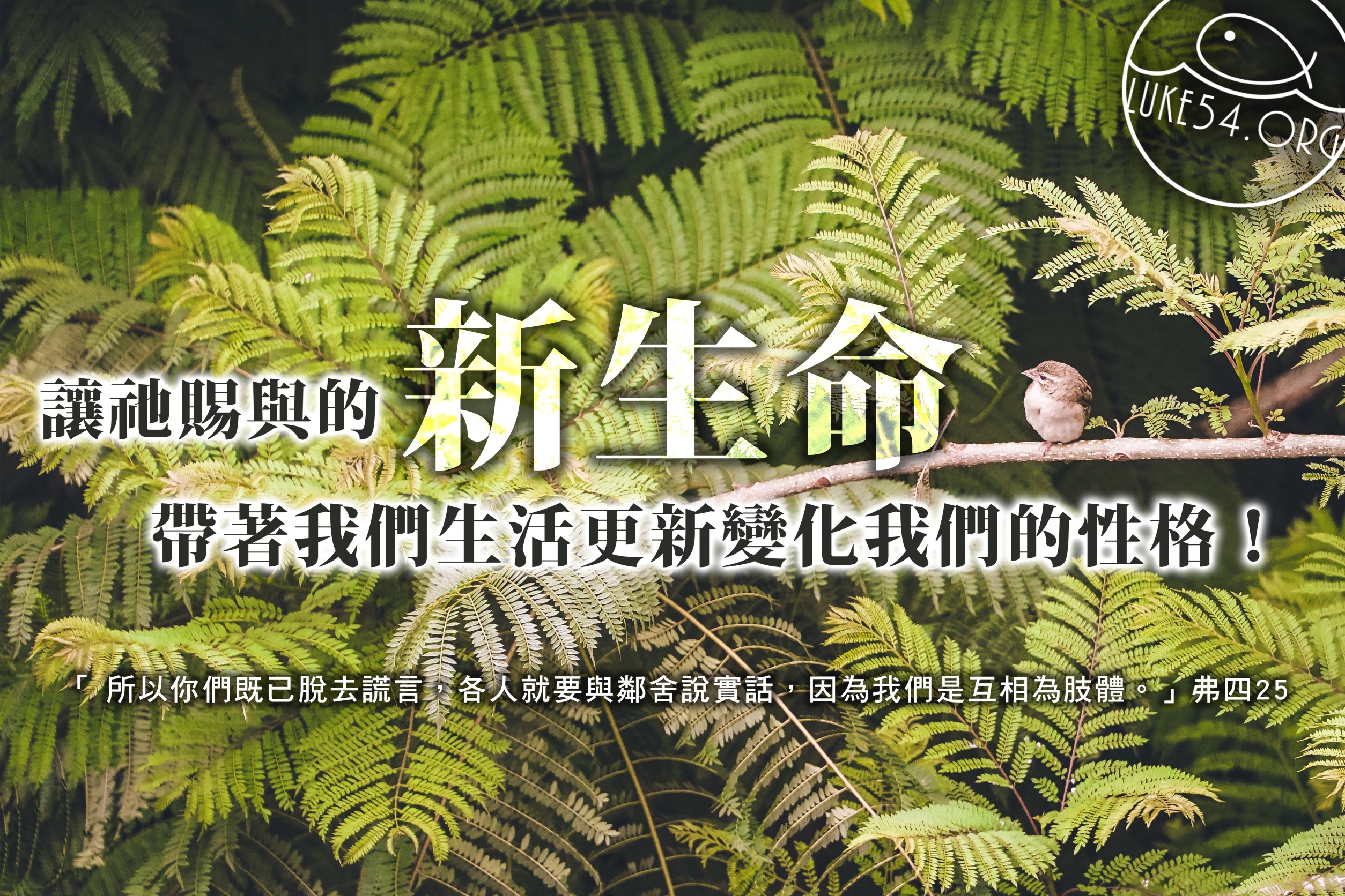 【水深LINE精選】說謊的珍珠鳥