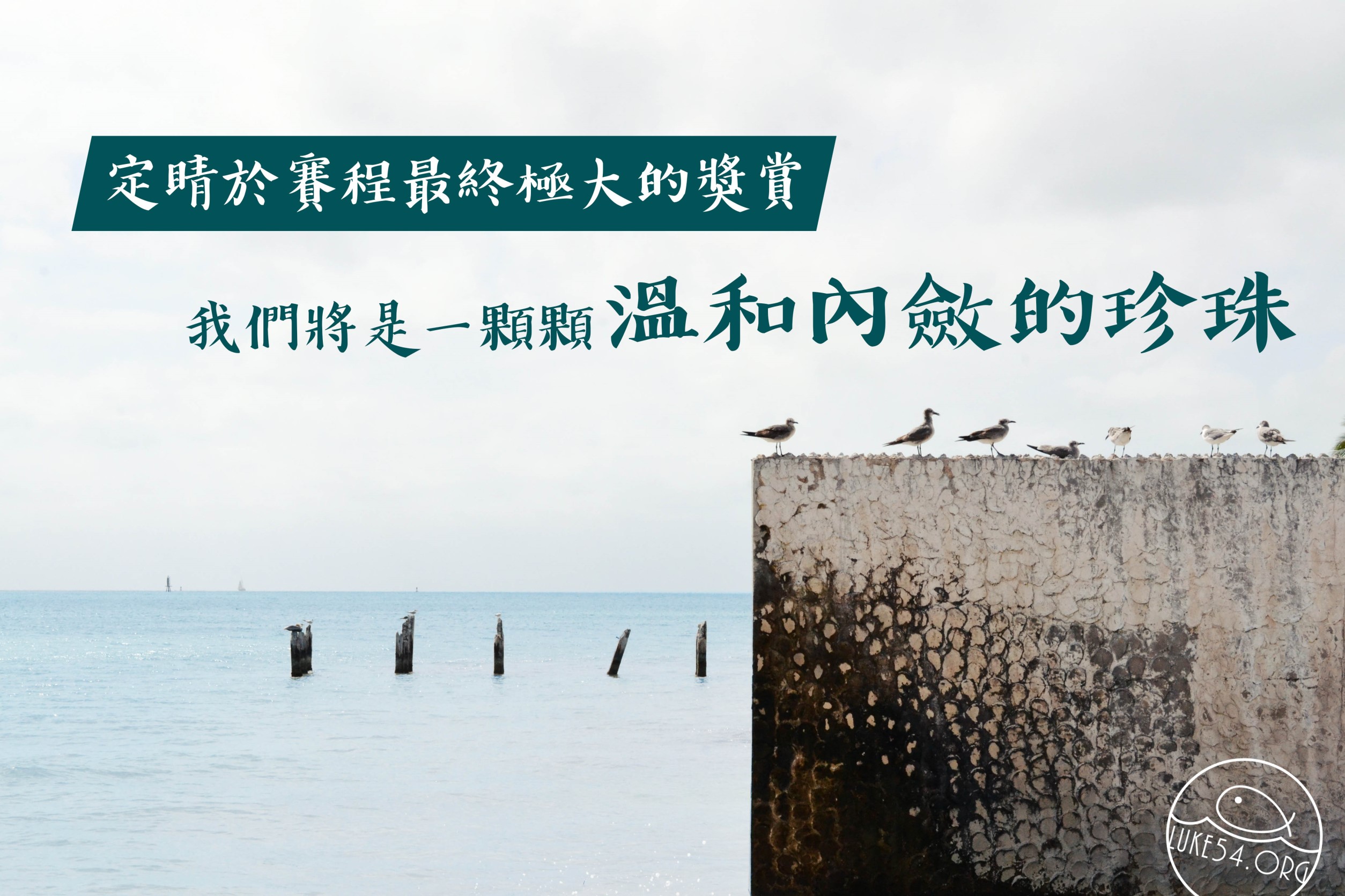 【水深LINE精選】三隻鳥的不同命運