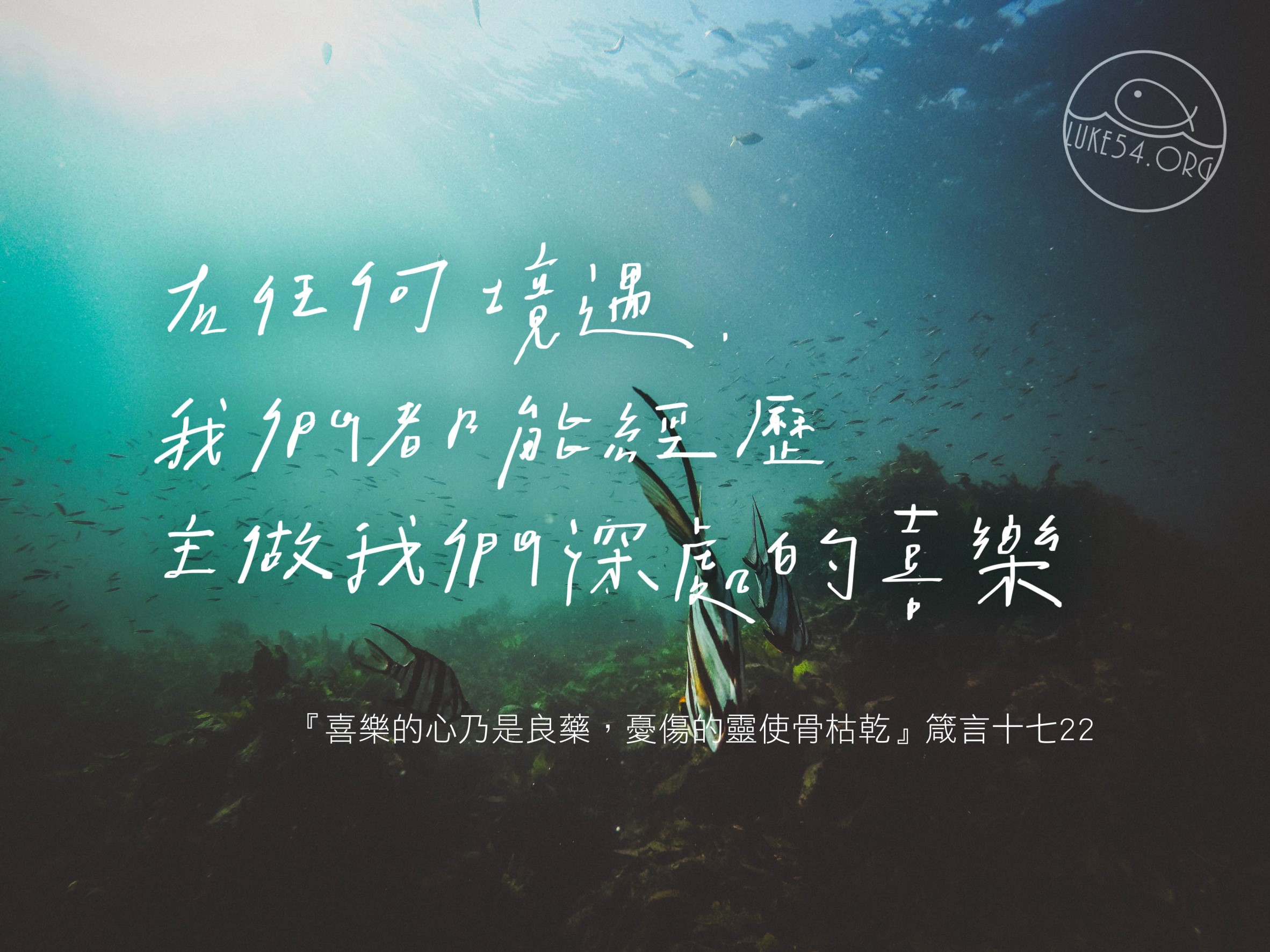 【水深LINE精選】一條魚眼中的海