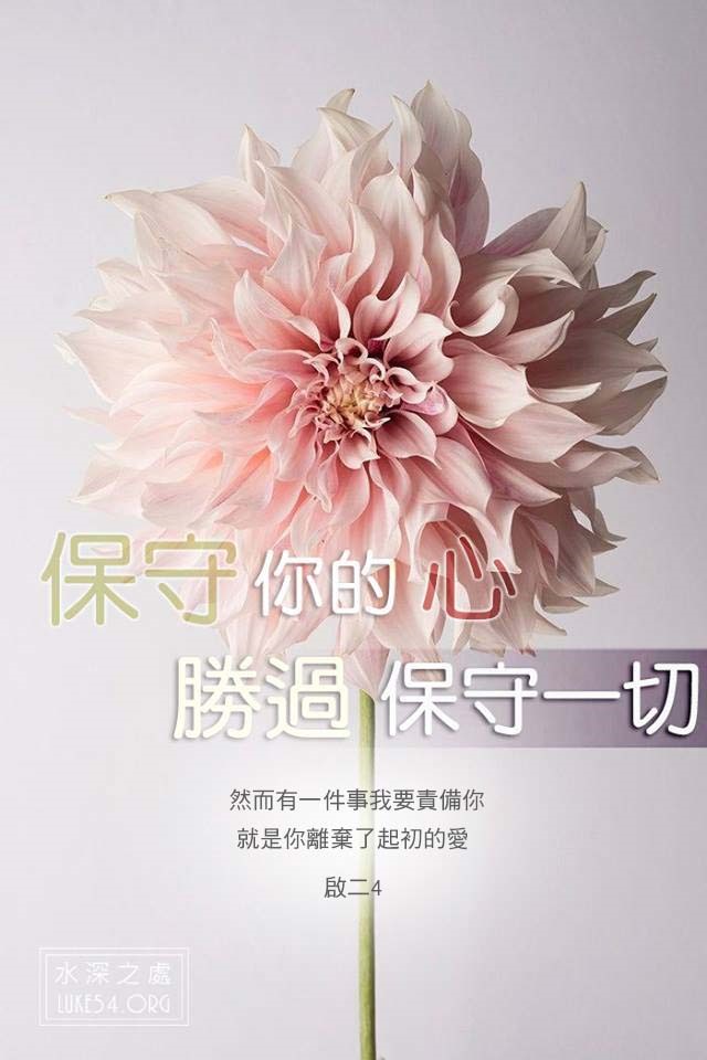 【水深LINE精選】愛主使我快樂