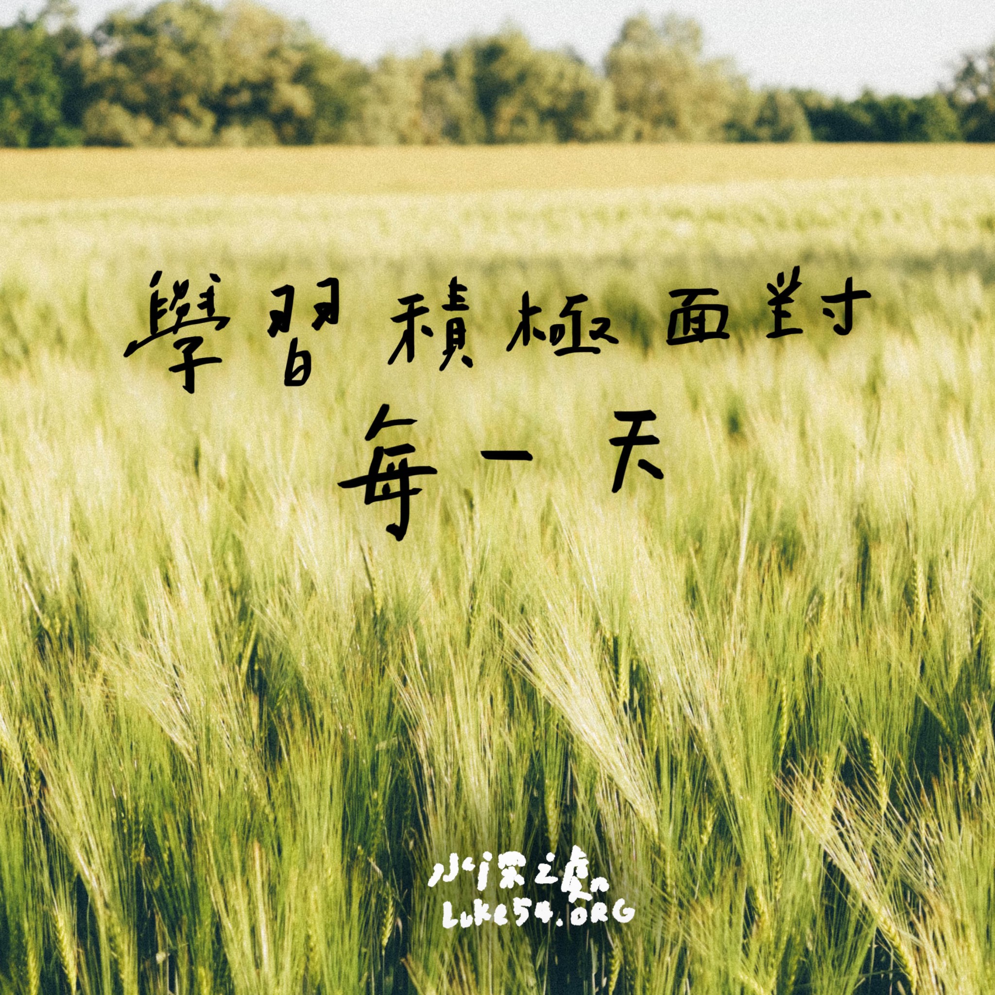 【水深LINE精選】荒山裡的橘子和葡萄