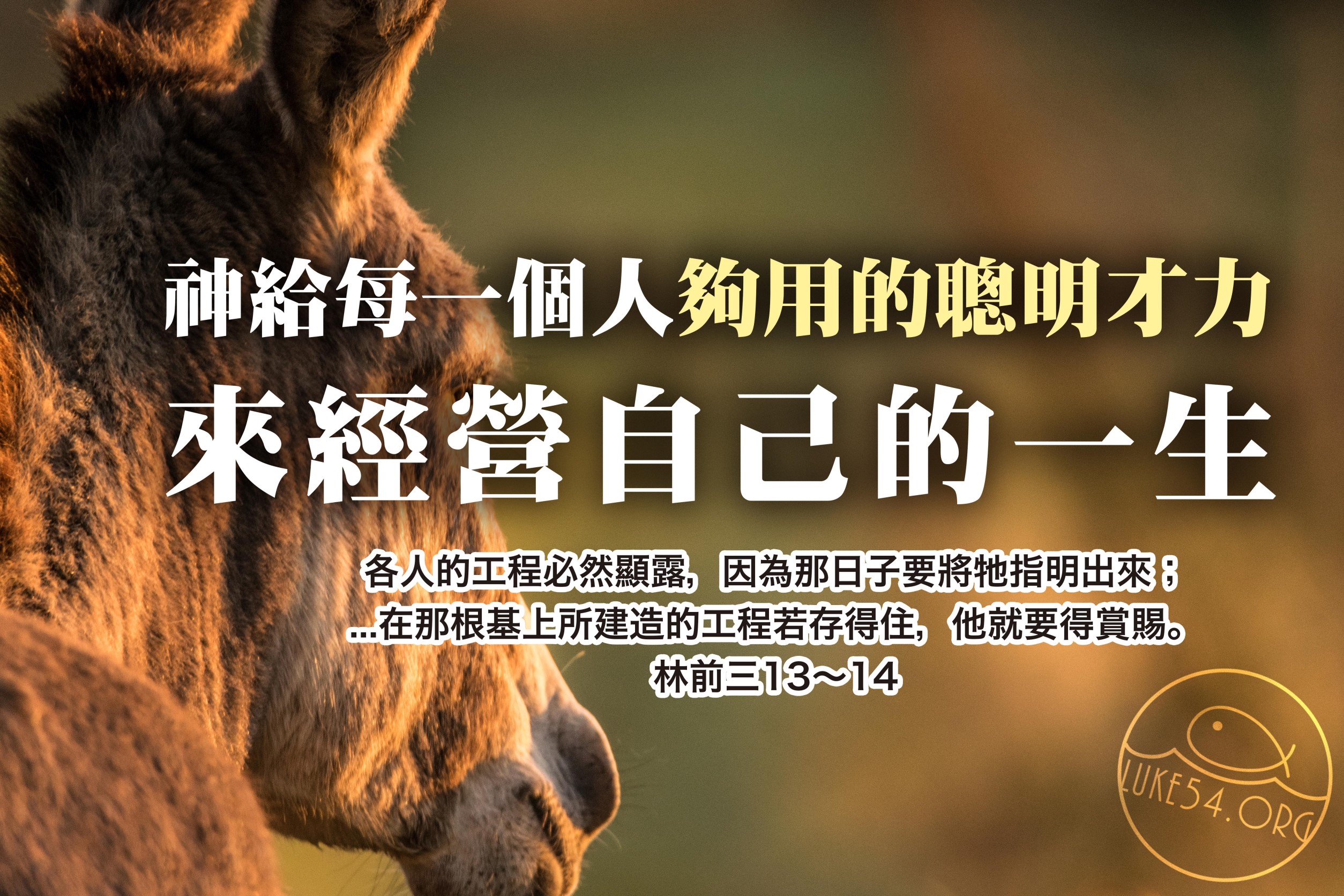 【水深LINE精選】驢的智慧