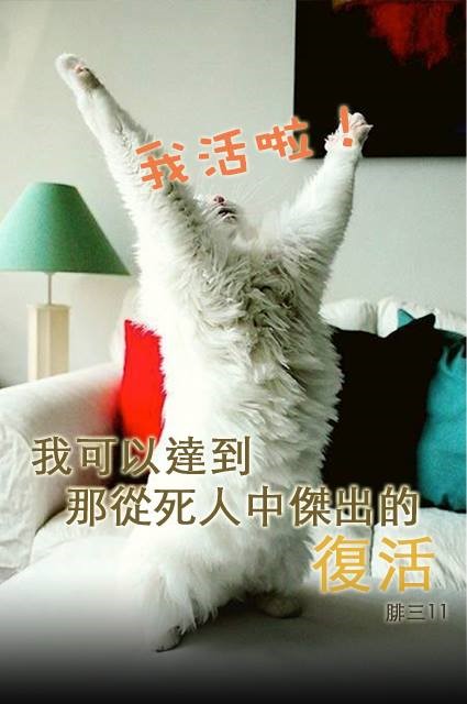 【水深LINE精選】 重生的生命是得勝的生命
